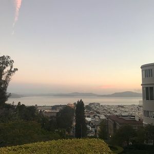 Meet your Posher, Molly